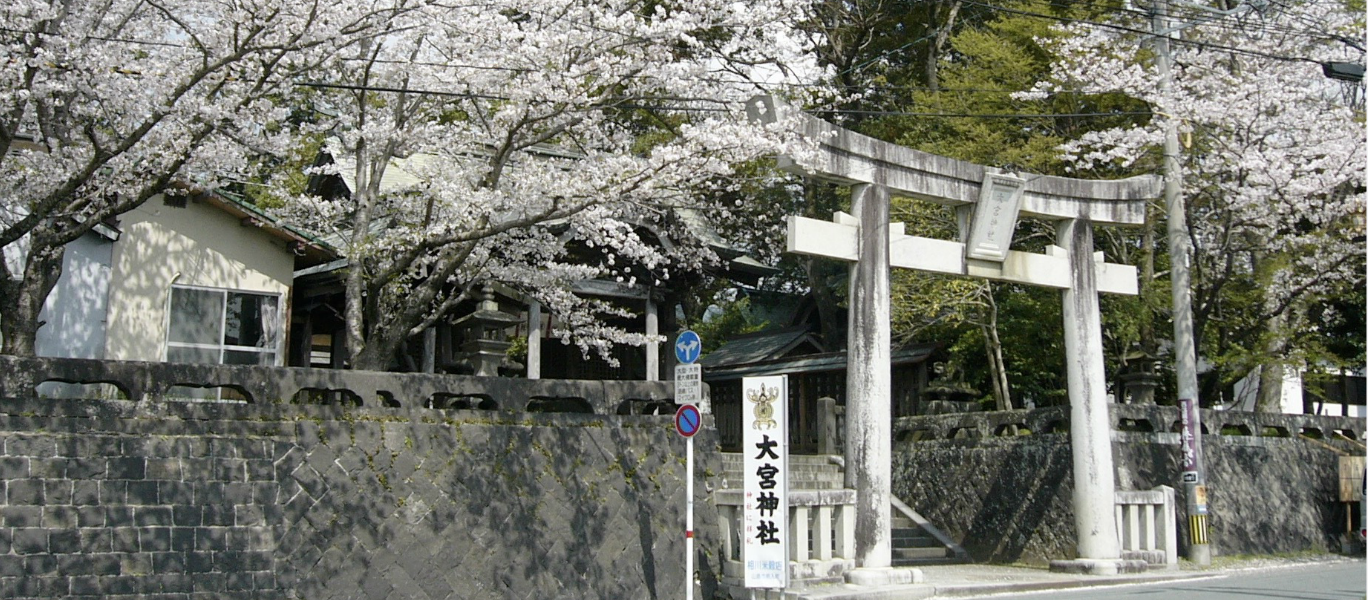 大鳥居桜風景